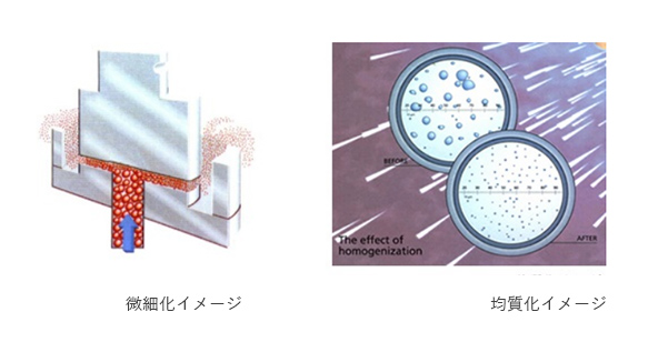 ホモジナイザー（均質機） Homogenizer